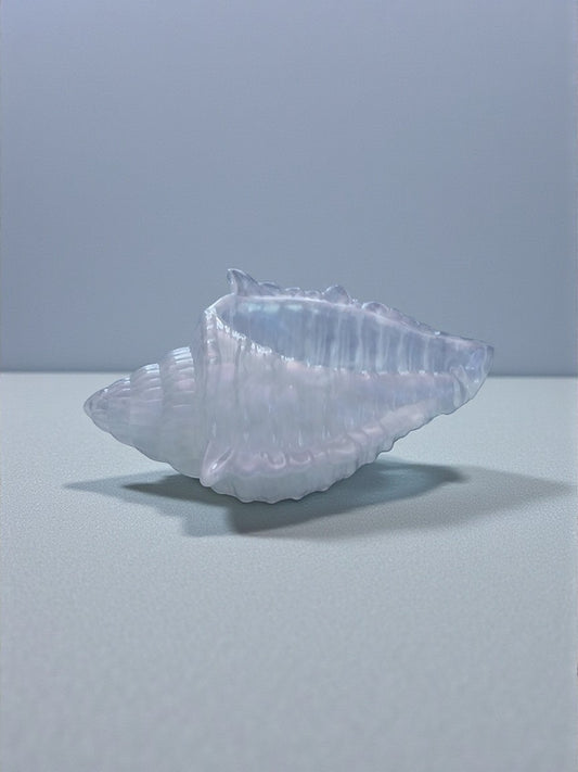 Artymunk3y iridescent glass seashell decorative object with pearlescent sheen and subtle blue and pink hues.
