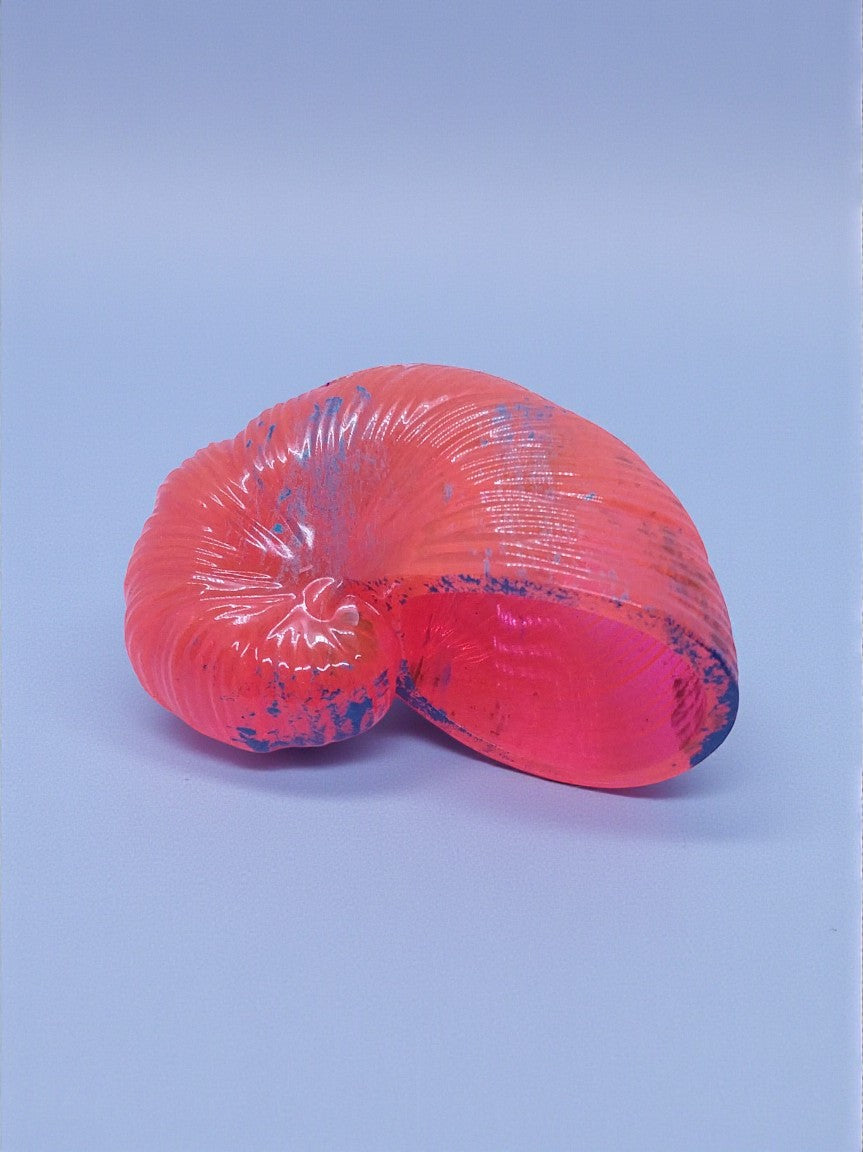 Artymunk3y neon pink nautilus shell decorative bowl with electric blue accents and ribbed texture.