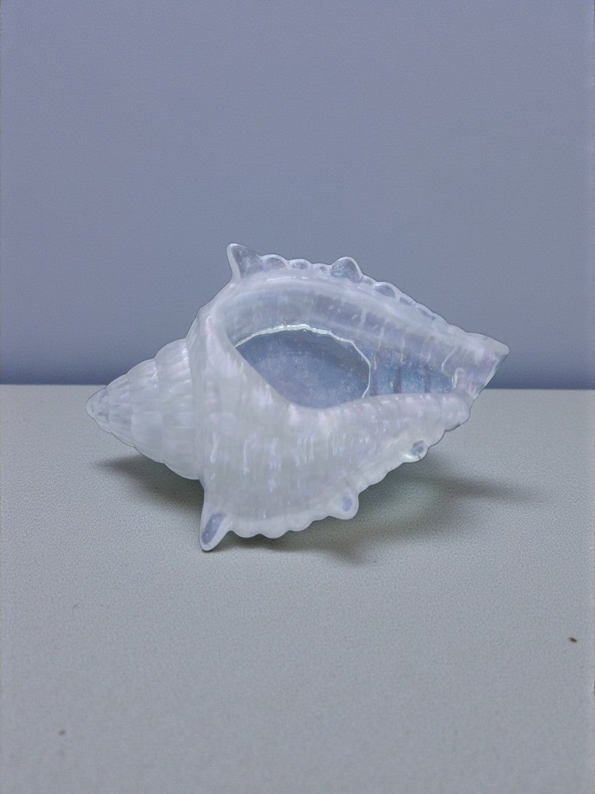 Artymunk3y iridescent glass seashell decorative object with pearlescent finish, coastal decor.