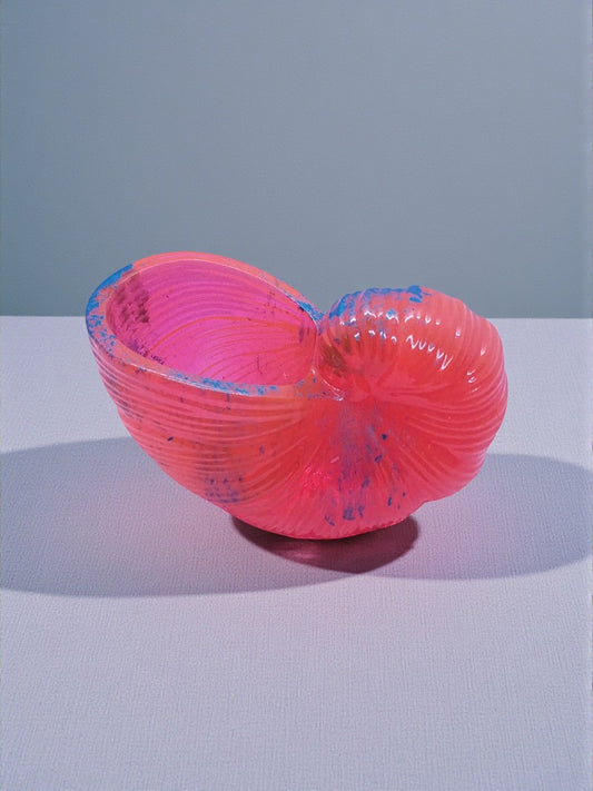 Artymunk3y neon pink nautilus shell decorative bowl with electric blue accents and ribbed texture.