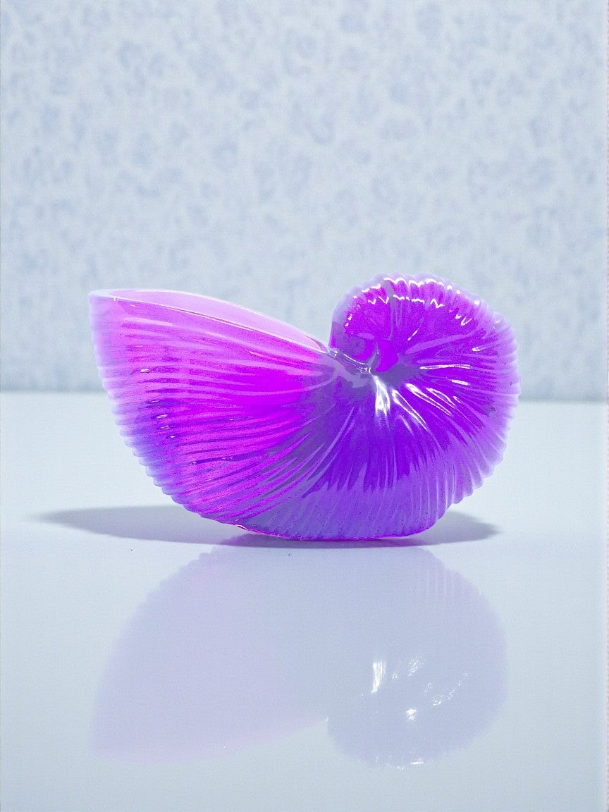 Artymunk3y translucent purple and white acrylic nautilus shell shaped decorative bowl with ridged detailing.